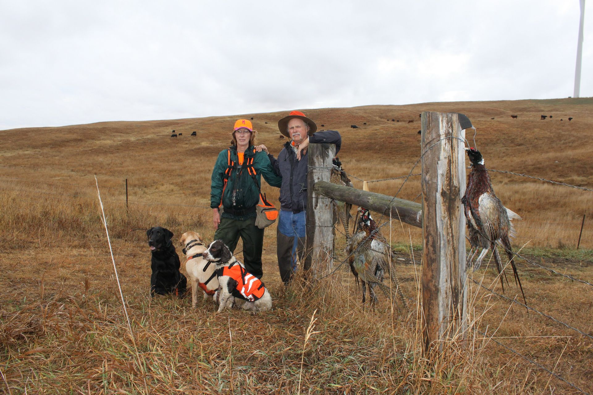 South Dakota Pheasant Hunt Photo Gallery Mitchell, SD